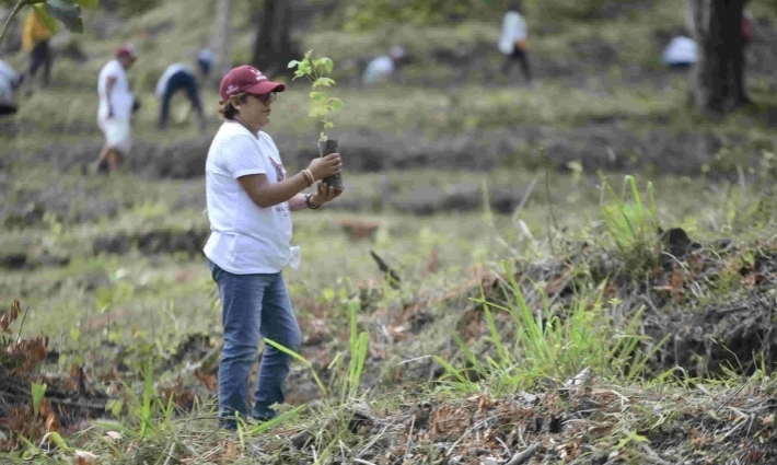 Es momento de hacer algo y vivir en armonía con el medio ambiente: Gobernador de Veracruz