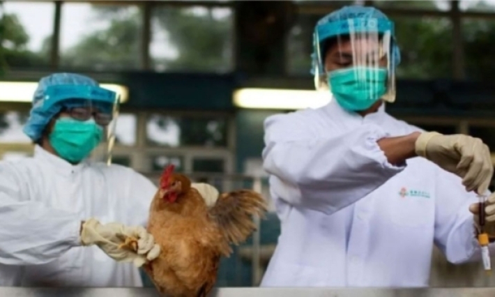 OMS reconoce que paciente en México no falleció por gripe aviar sino por causas multifactoriales