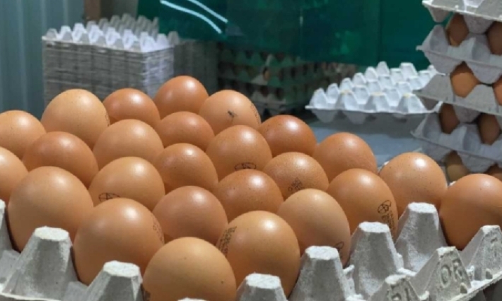 Sader garantiza seguridad en consumo de pollo y huevo tras caso de gripe aviar