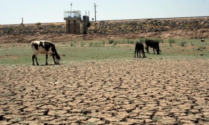 Sequía presente en 75.96% del territorio nacional, mantiene en crisis sector agropecuario