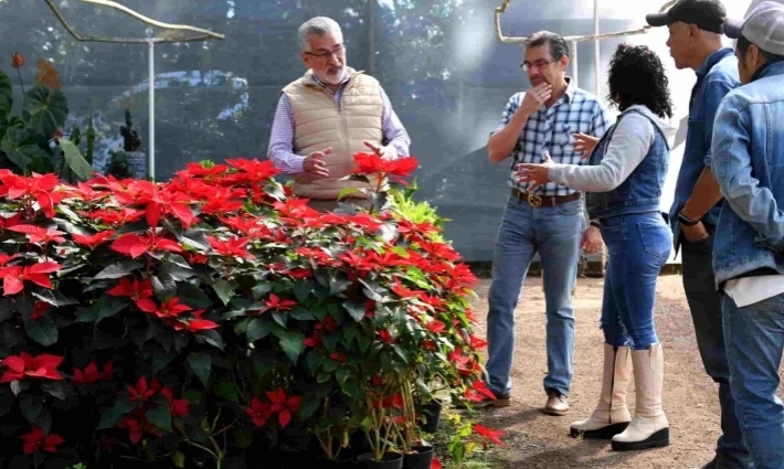 Xalapa continuará siendo la Ciudad de las Flores: Alberto Islas