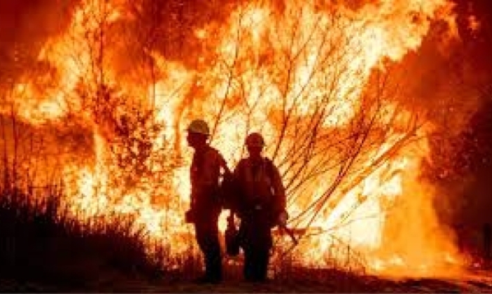 Enviará México equipo de Conafor y Sedena a Los Ángeles para combatir incendios forestales