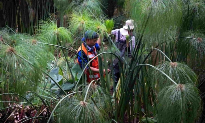 Realizan acciones de limpieza en los Lagos