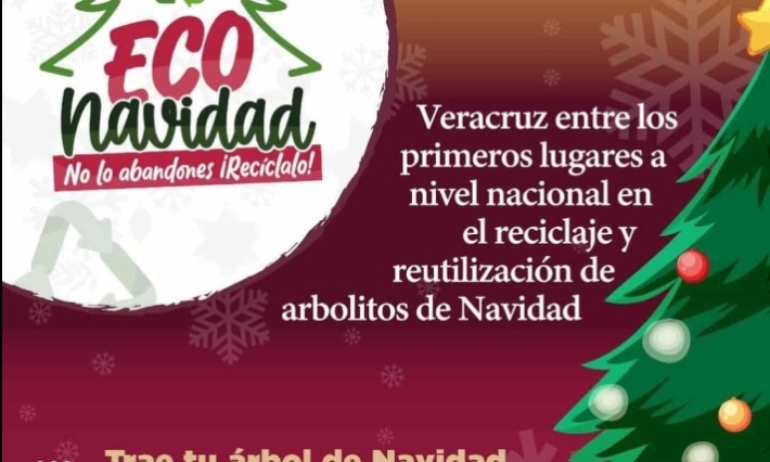 Impulsa Ayuntamiento reciclaje de pinos navideños