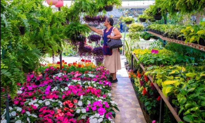 Con “Flores con Amor” celebra Ayuntamiento el 14 de febrero