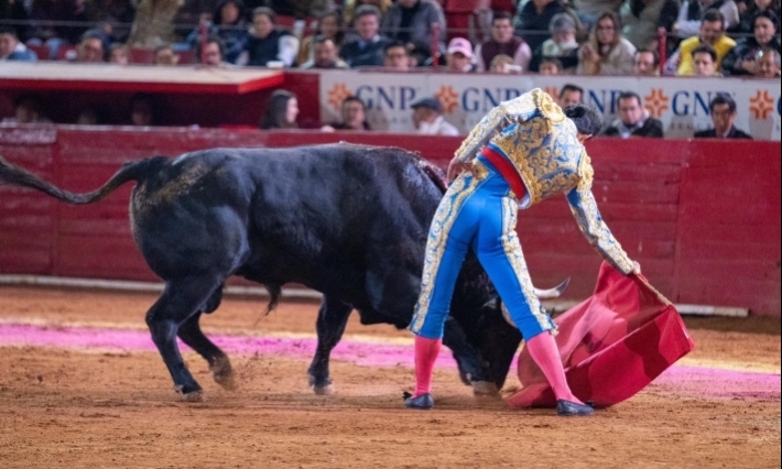 Comisión del Congreso de la CDMX aprueba propuesta para realizar corridas de toros sin violencia